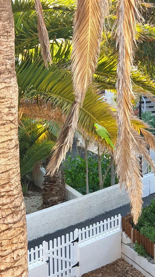 With Garden * Arona (Tenerife)
